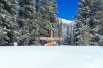 photo thumbnail #1