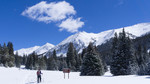 photo thumbnail #7