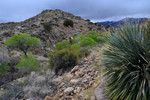 photo thumbnail #1