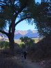 photo thumbnail #1