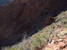 photo thumbnail #10