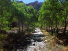 photo thumbnail #15