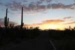 photo thumbnail #3