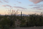 photo thumbnail #4