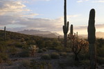 photo thumbnail #7