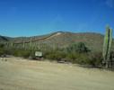 photo thumbnail #12