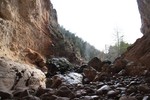 photo thumbnail #12