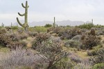 photo thumbnail #5