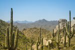 photo thumbnail #4