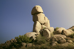 photo thumbnail #12