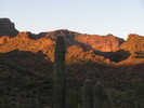 photo thumbnail #1