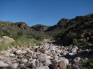 photo thumbnail #5
