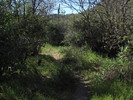 photo thumbnail #8