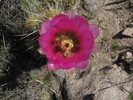 photo thumbnail #9