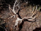 photo thumbnail #11