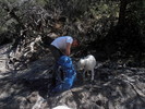 photo thumbnail #12