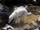 photo thumbnail #13