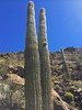 photo thumbnail #14
