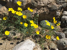 photo thumbnail #15
