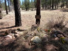photo thumbnail #14