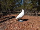 photo thumbnail #15