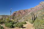 photo thumbnail #4