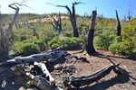 photo thumbnail #8