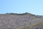photo thumbnail #13
