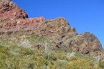 photo thumbnail #15