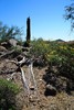 photo thumbnail #5