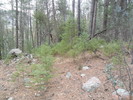 photo thumbnail #2