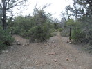 photo thumbnail #3