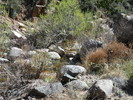 photo thumbnail #6
