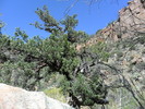 photo thumbnail #10