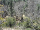 photo thumbnail #13
