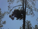 photo thumbnail #14