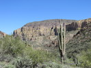 photo thumbnail #6