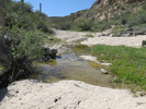 photo thumbnail #8
