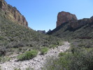 photo thumbnail #11