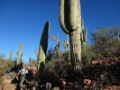 photo thumbnail #2