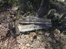 photo thumbnail #6