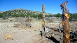 photo thumbnail #15