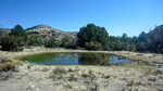 photo thumbnail #9
