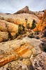 photo thumbnail #12