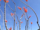 photo thumbnail #11