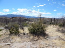 photo thumbnail #7