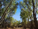 photo thumbnail #6