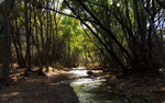 photo thumbnail #8