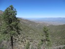 photo thumbnail #15