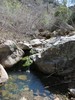 2014-03-16 :1: Four Peaks - AZT #20 :: BiFrost